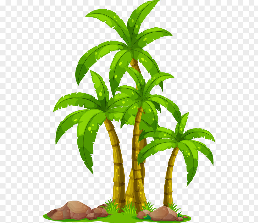 Cartoon Great Fresh Coconut Arecaceae Tree Clip Art PNG