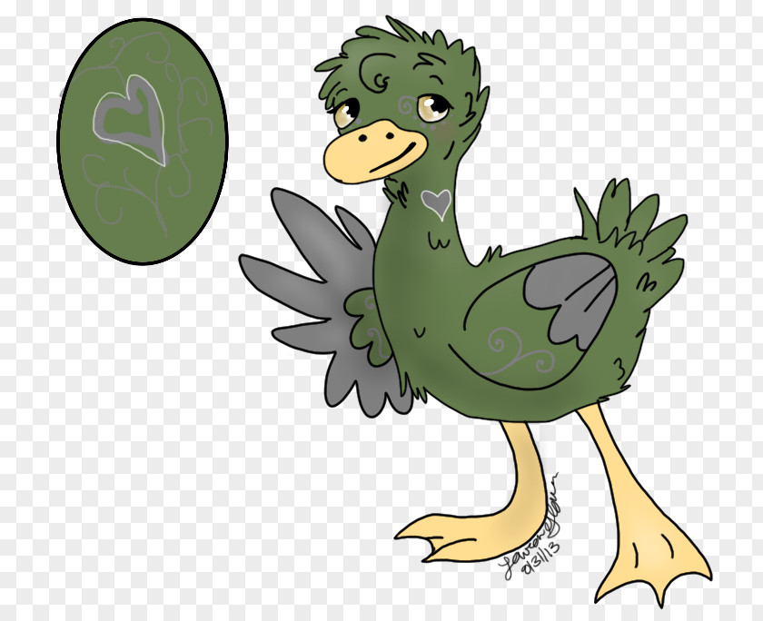 Chicken Duck Beak Goose Bird PNG