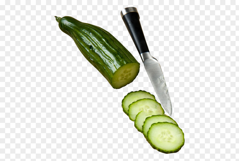 Cucumber Slice Pickled Food Pickling Hamburger Vegetable PNG