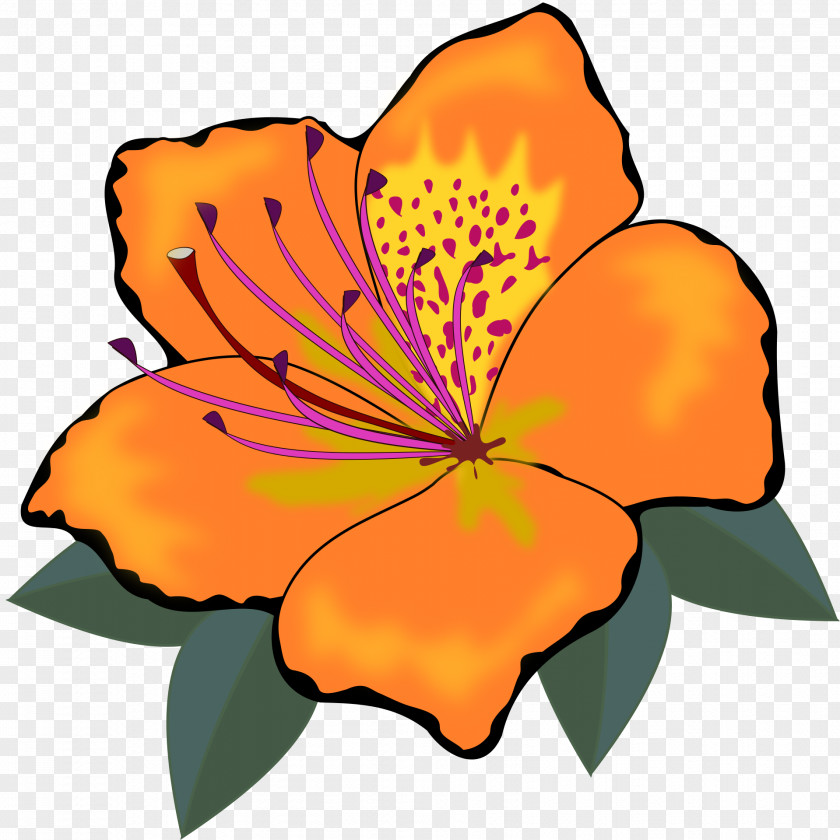 Orange Flower Clip Art PNG