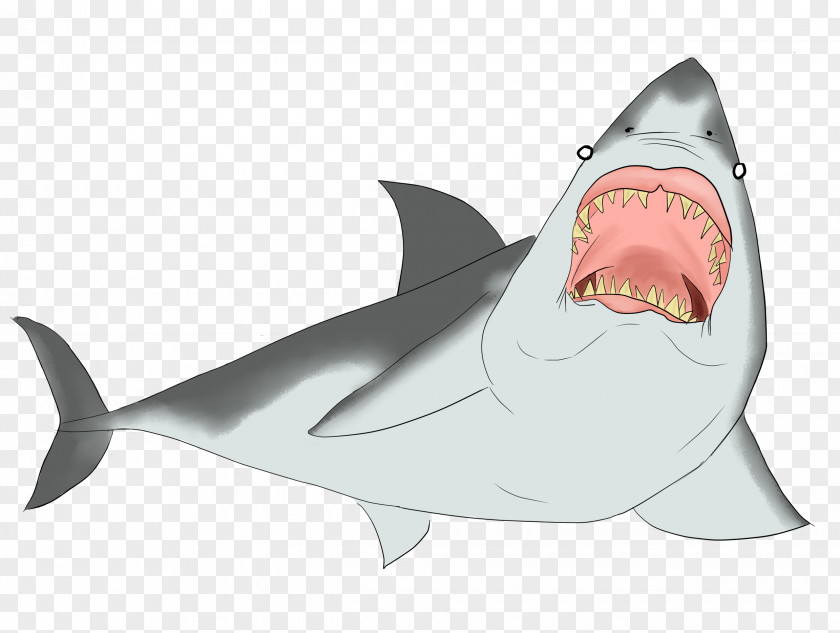Bruise Shark Vertebrate Chondrichthyes Fish Fin PNG