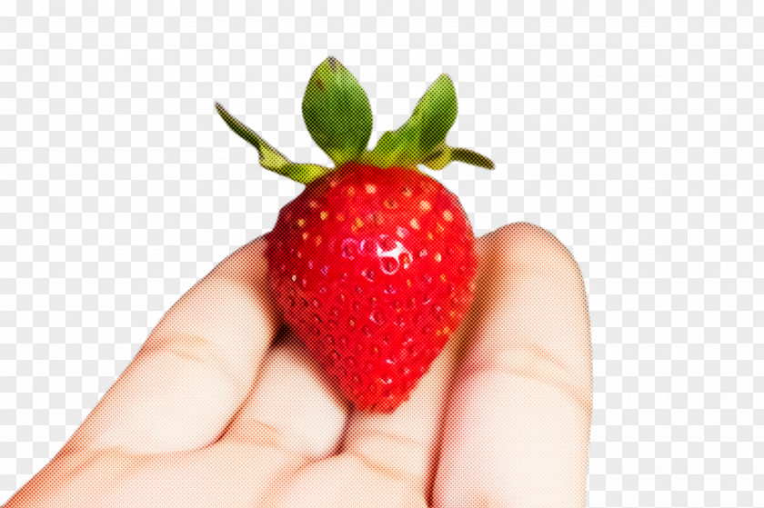 Superfruit Plant Strawberry PNG