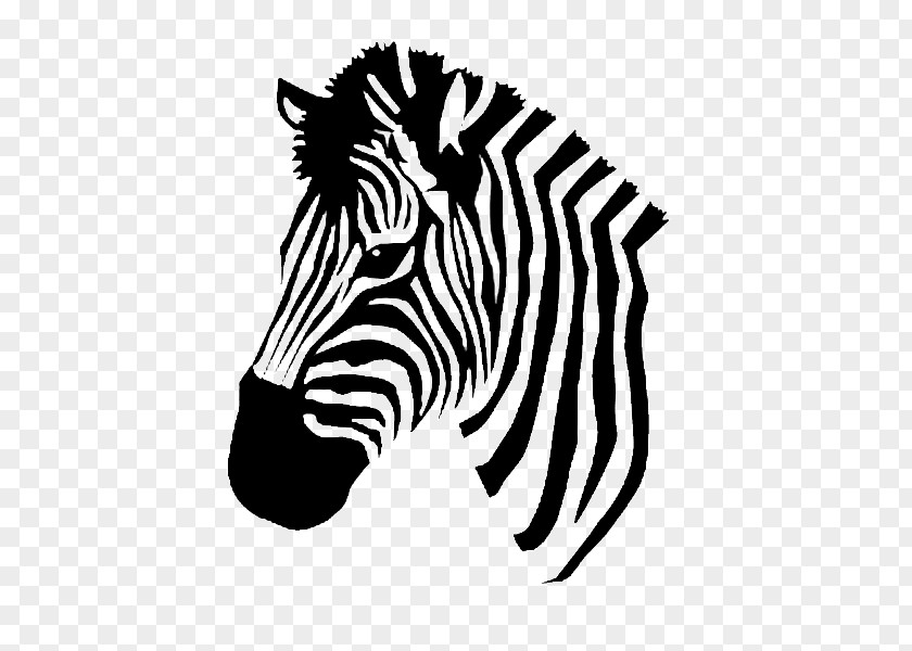 Zebra Coloring Book Clip Art PNG