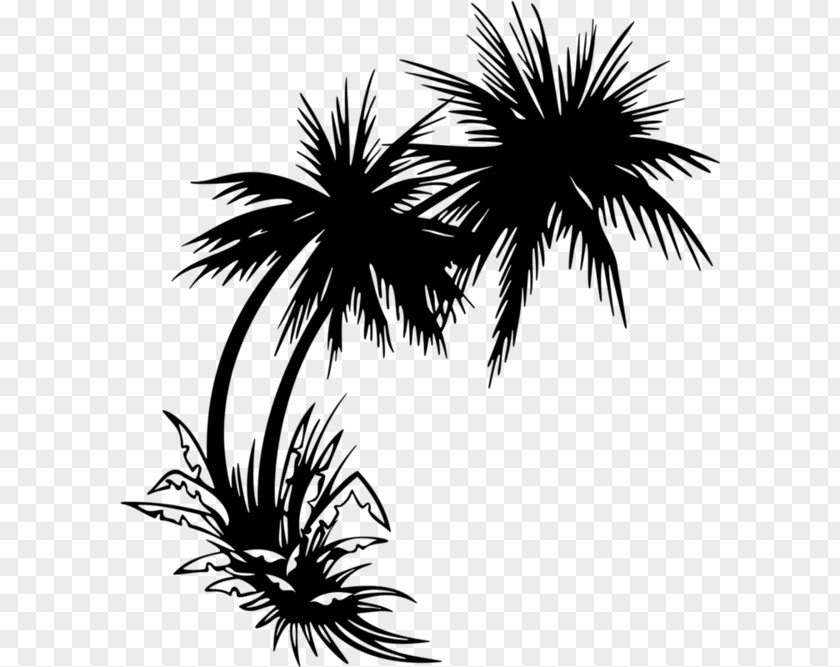 Beach Clip Art Black And White Sunset Palm Trees Sticker Image PNG