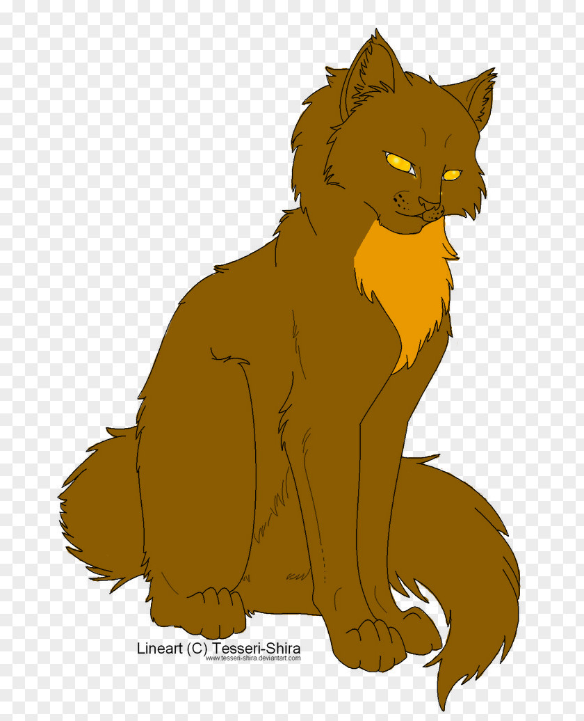 Cat Whiskers Wildcat Lion Warriors PNG