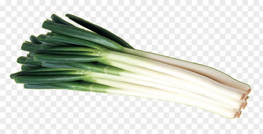 Fresh Green Vegetables Onions Zhangqiu District Qingdao Allium Fistulosum Peking Duck Vegetable PNG