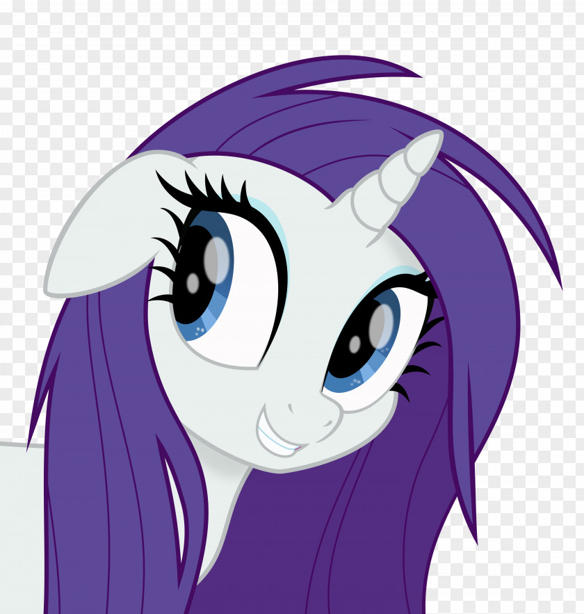 My Little Pony Rarity Twilight Sparkle Pinkie Pie Rainbow Dash PNG