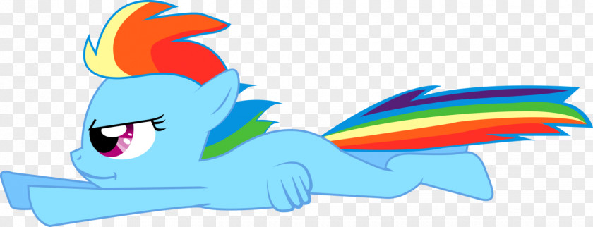 Rainbow Dash Rarity Fluttershy Horse Pony PNG