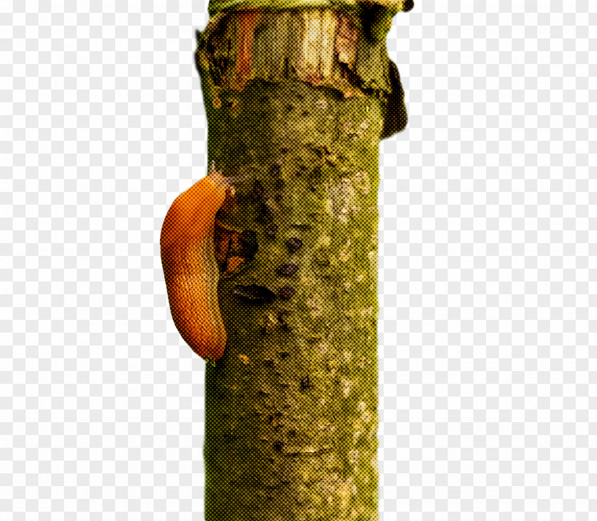 Tree PNG