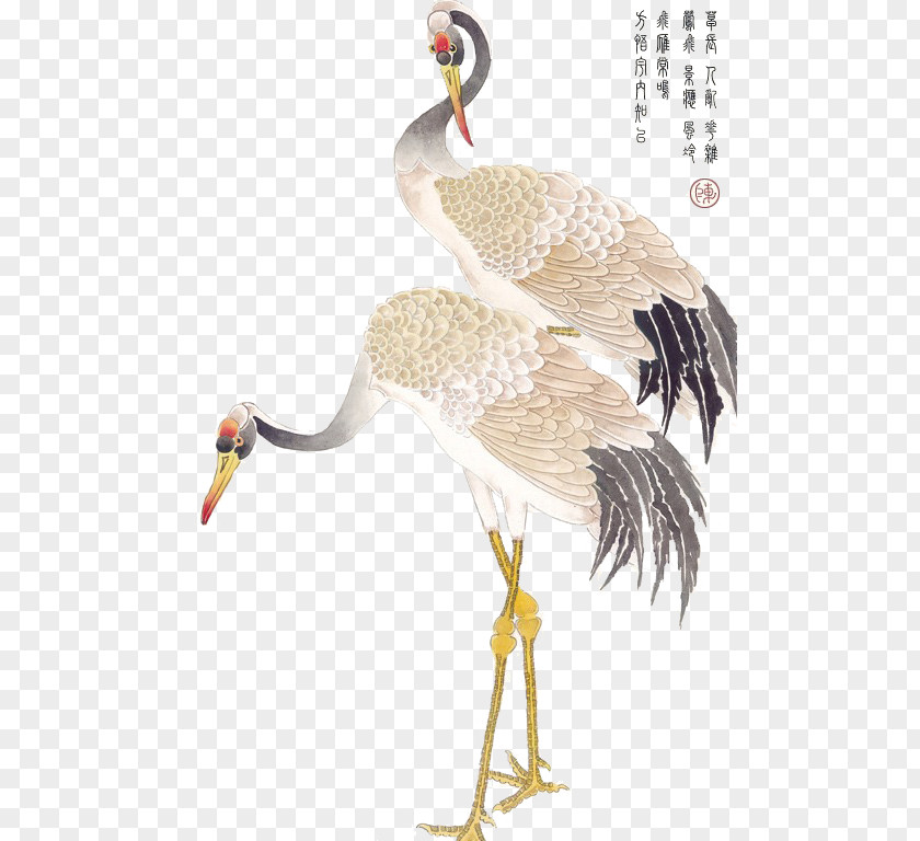 Ink Red-crowned Crane PNG red-crowned crane clipart PNG