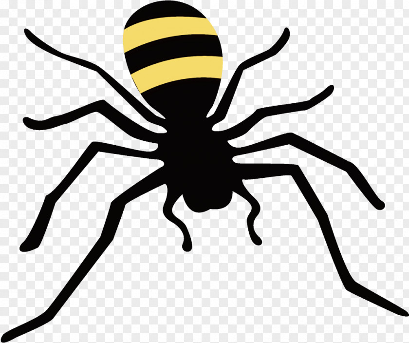 Widow Spider Orbweaver Halloween PNG