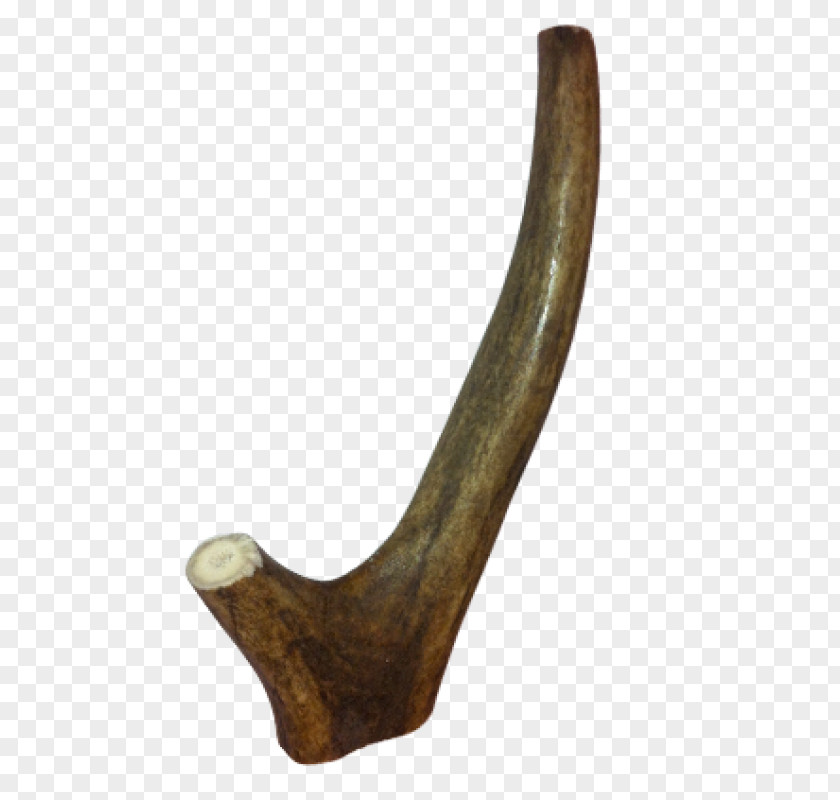 Antler Iron PNG