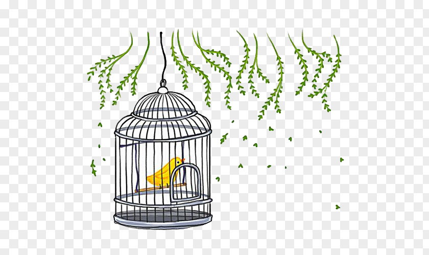 Birds In The Cage Birdcage PNG