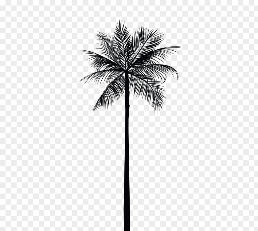 Black Coconut Tree Arecaceae Gold Palm Branch Wall Decal PNG