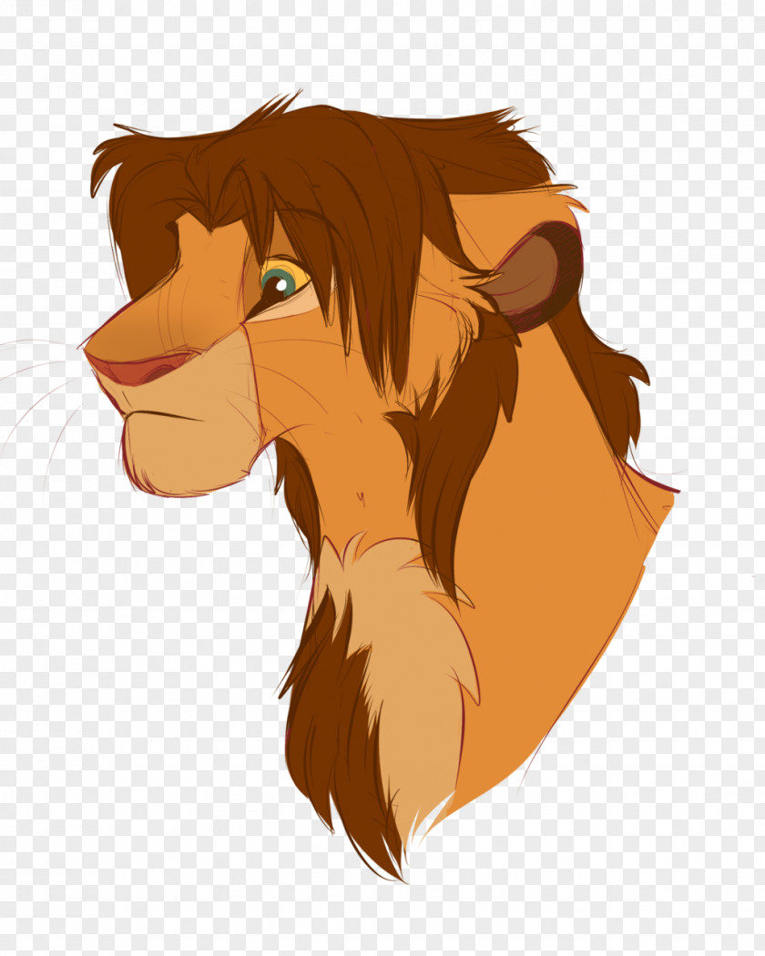 Lion King Simba Mufasa Nala Zira PNG
