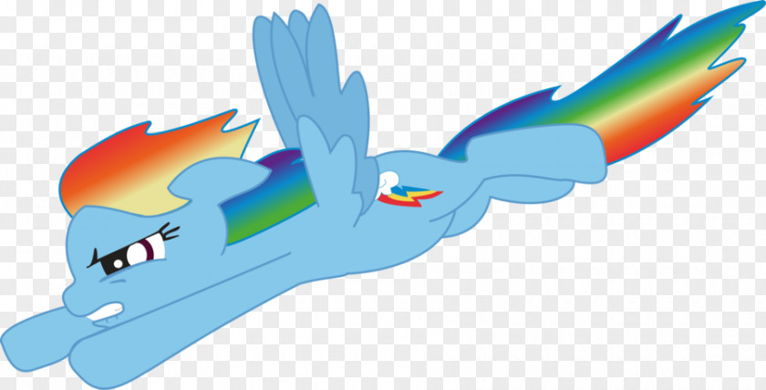 My Little Pony Rainbow Dash Twilight Sparkle Image PNG
