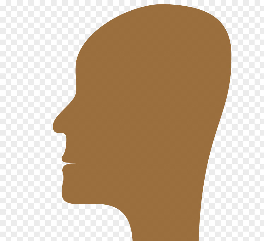 Profile Face Human Head PNG