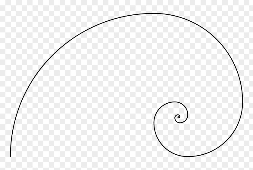 Spiral Vector Fibonacci Number Golden Ratio Rectangle PNG