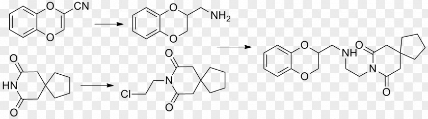 Xanthophyll Carotene Fluorescein Chromatography Catalysis PNG