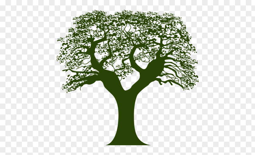 Arbol PNG