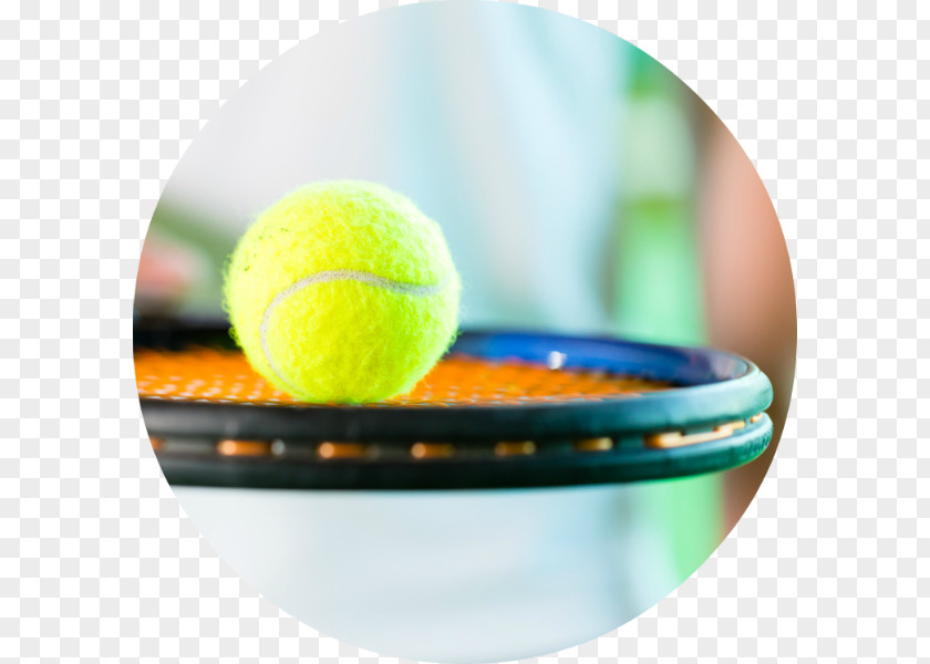 Ball Squash Tennis Centre Racket PNG