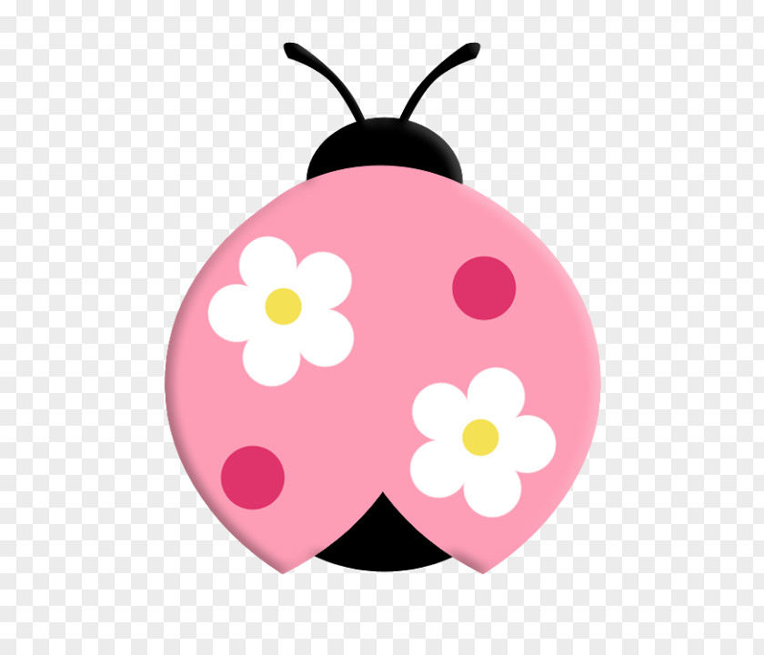 Beetle Ladybird Clip Art Image Drawing PNG