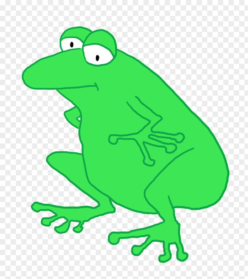 Frog True Amphibians Vertebrate Toad PNG