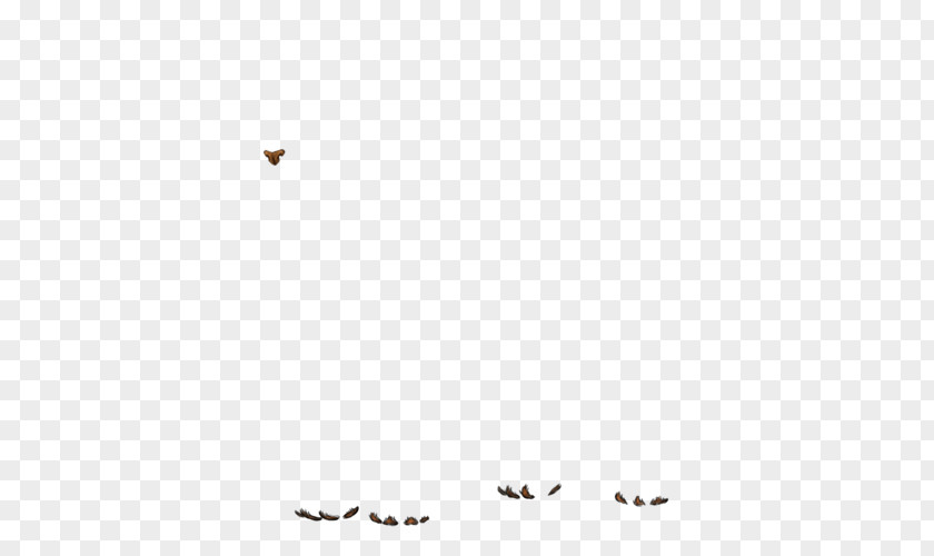 Lion Wing Bird Migration Insect PNG