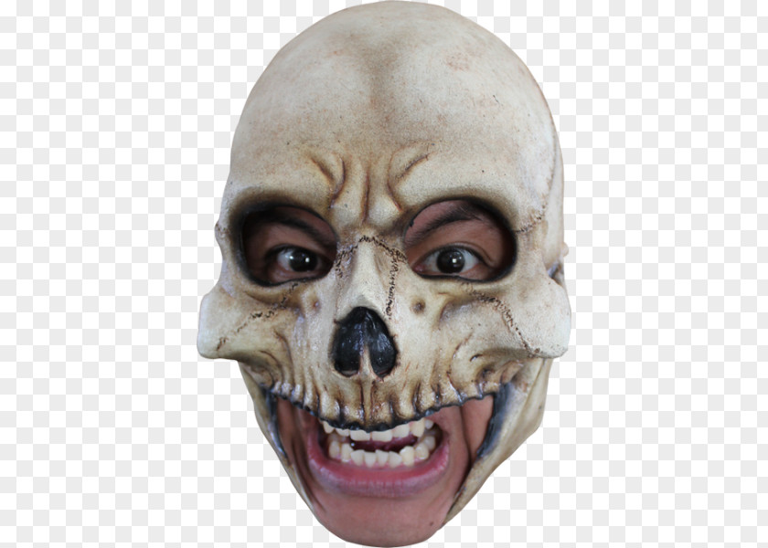Mask Skull Calavera Skeleton Halloween Costume PNG