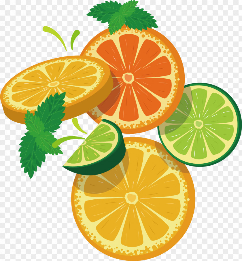 Buah Ornament Rangpur Lemon Mandarin Orange Key Lime PNG
