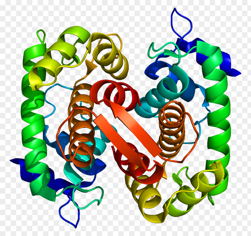 EF Hand Protein GeneCards Gene Product PNG