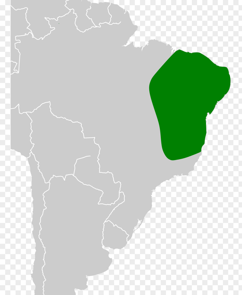 Map South America Green Tuberculosis Americas PNG