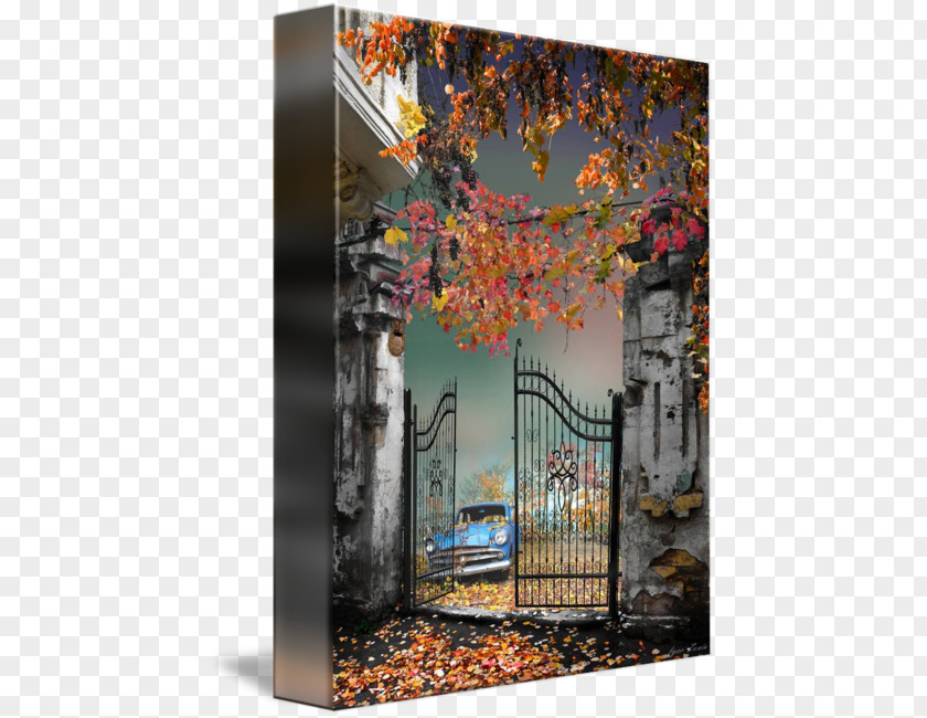 Old Gate Window Autumn Tree Glass Unbreakable PNG