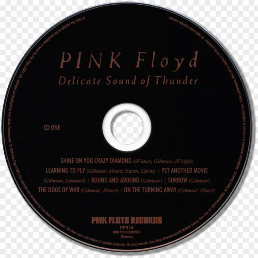 Delicate Sound Of Thunder Pink Floyd Album Compact Disc PNG
