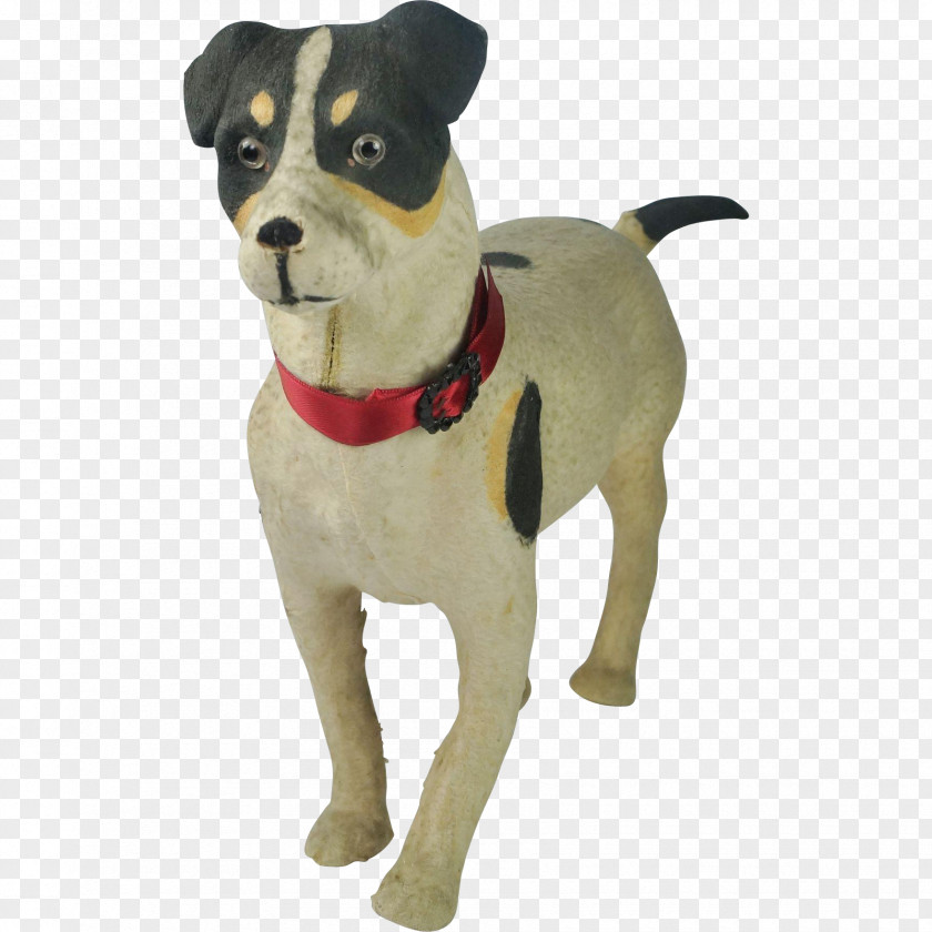 Dog Breed Leash Snout PNG