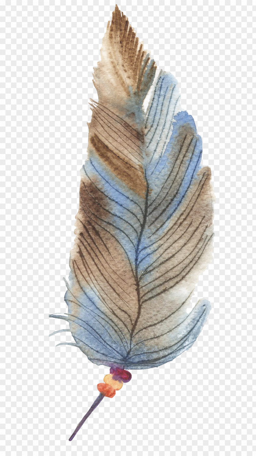 Hand-painted Feathers Feather Drawing PNG