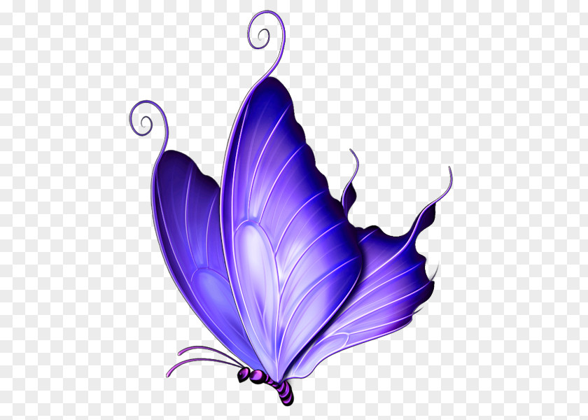 Transparent Purple Deco Butterfly Clipart Pink Clip Art PNG