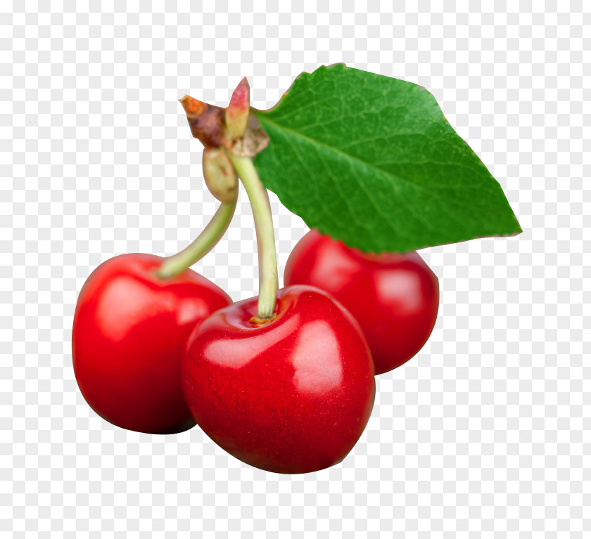 Cherry Prunus Tomentosa Cerasus Auglis Wallpaper PNG
