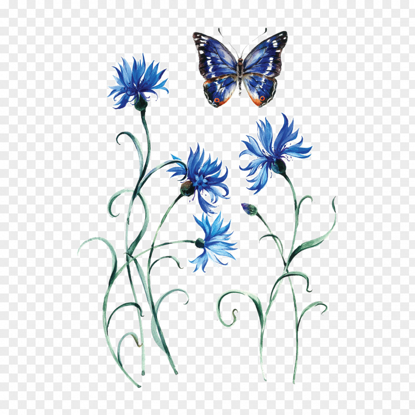 Cornflower Monarch Butterfly Abziehtattoo Tattoo Artist PNG