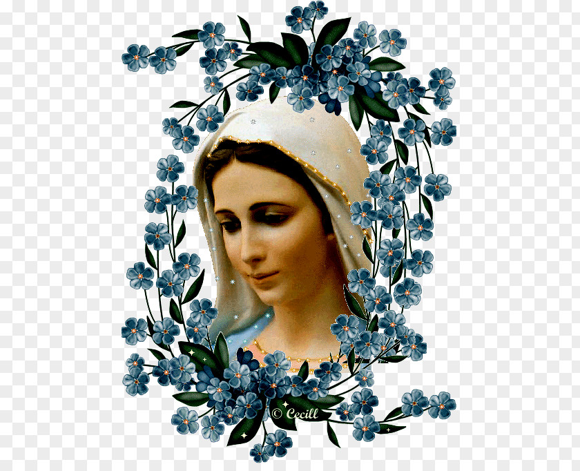 Mary Our Lady Mediatrix Of All Graces Prayer Salve Regina Infinitas Graças Vos Damos PNG