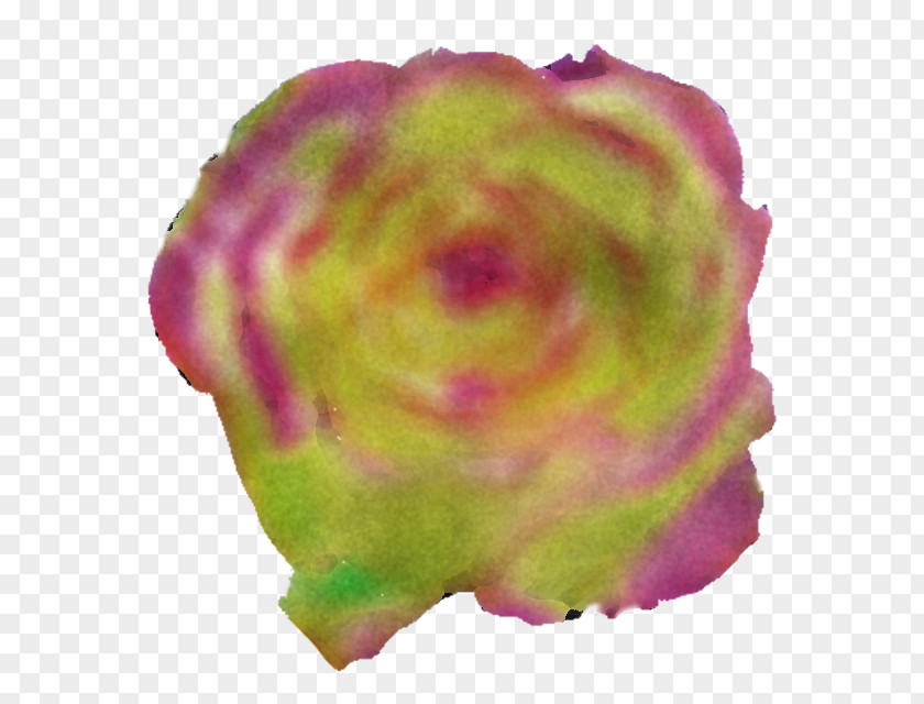 Petal Flower PNG