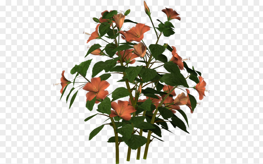 Plant Cut Flowers Flowerpot Stem Leaf PNG