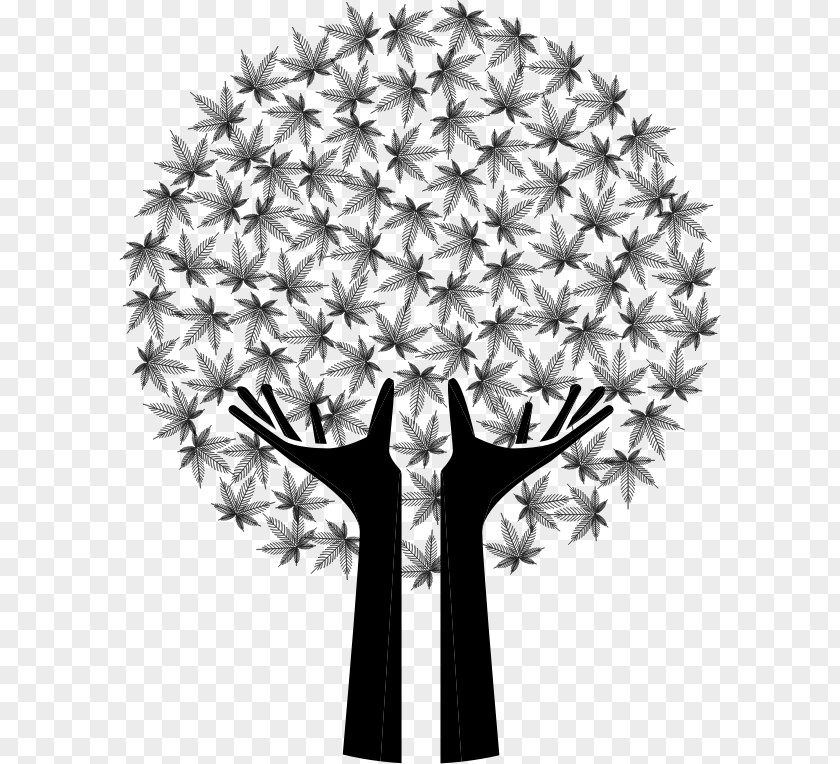 Tree Hands Drawing Clip Art PNG