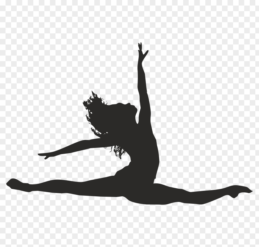 Ballet Dancer IPhone 7 5s PNG