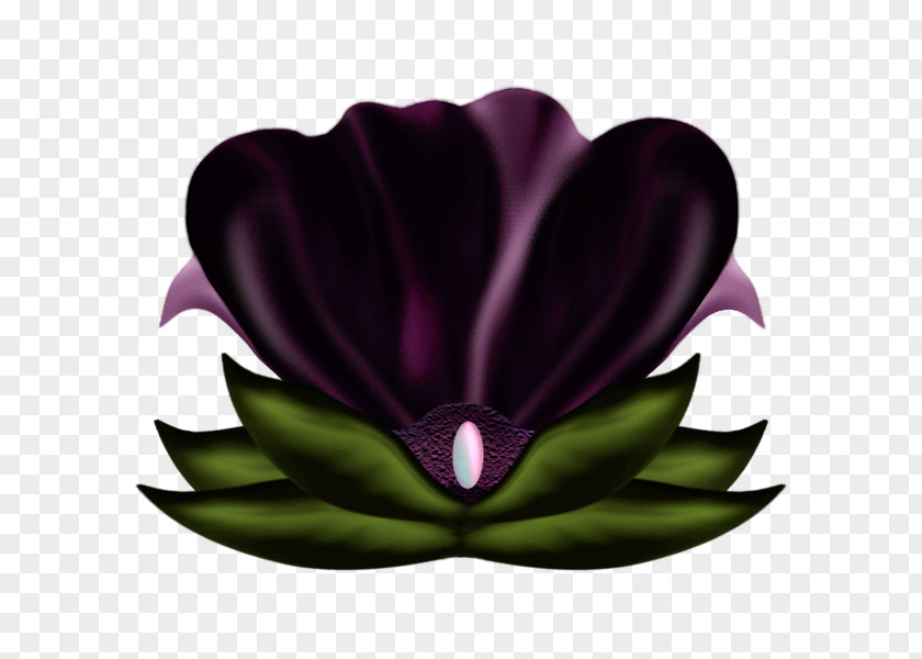 Flower Decorate Flowering Plant PNG