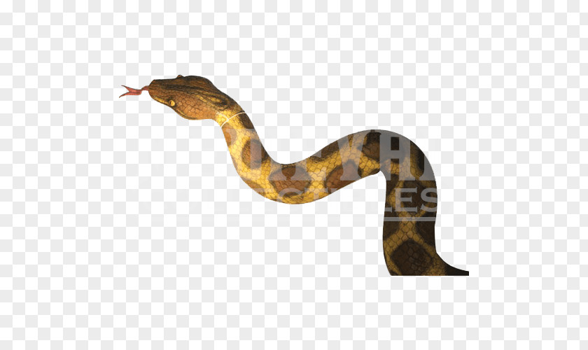 Snake Boa Constrictor Rattlesnake Terrestrial Animal PNG