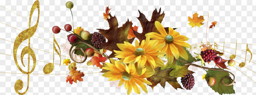 Autumn Cut Flowers Floral Design Floristry Petal PNG