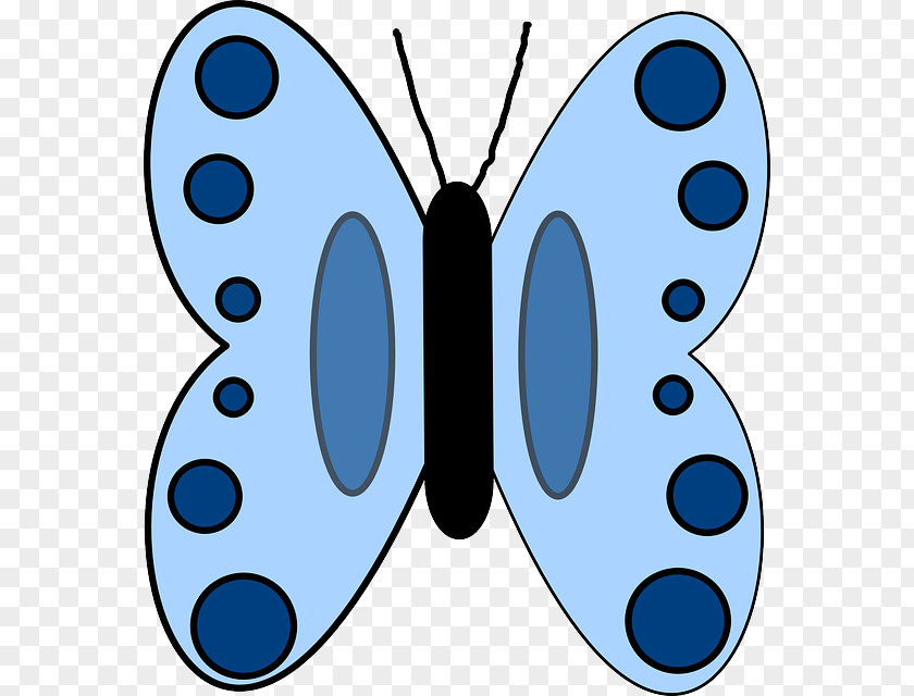 Butterfly Clip Art Insect Image Blue PNG