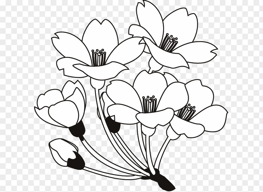 Flower Floral Design Black And White Drawing Clip Art PNG