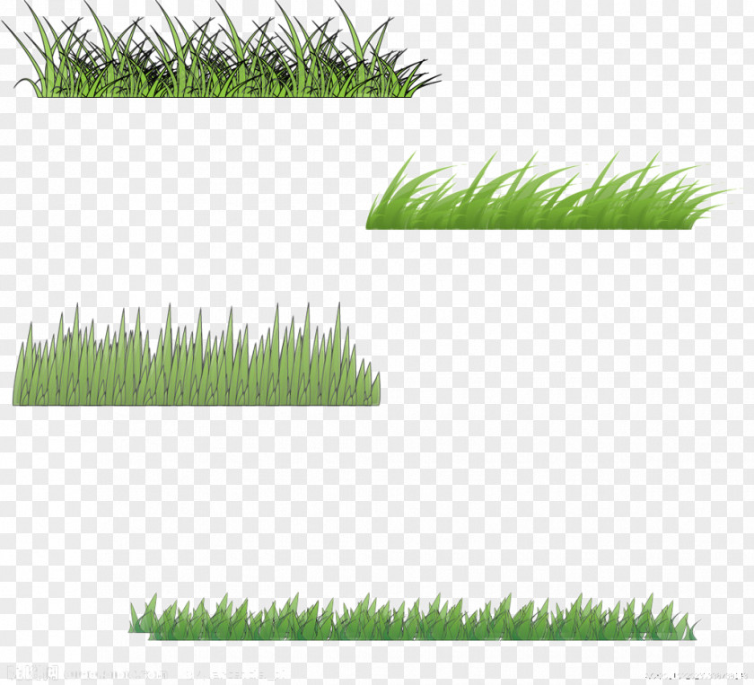 Four Kinds Of Grass To Pull Free Image Motif Euclidean Vector PNG